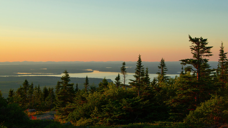 View from Cadillac Summit Road in Acadia National Park