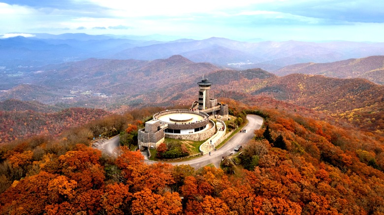 Aerial view of orange forests in Brasstown Bald in North Georgia in the fall.