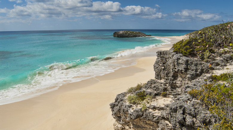 Shoreline of Cat Island