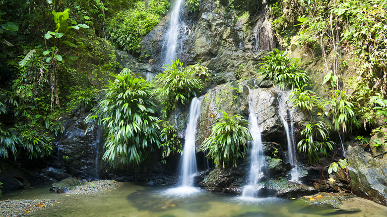waterfalls cascading over rocks surrounded by lush greenery