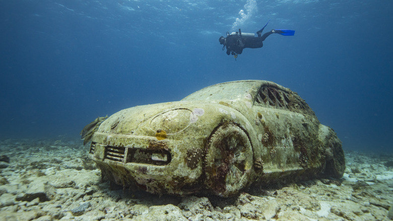 Scuba diver at MUSA