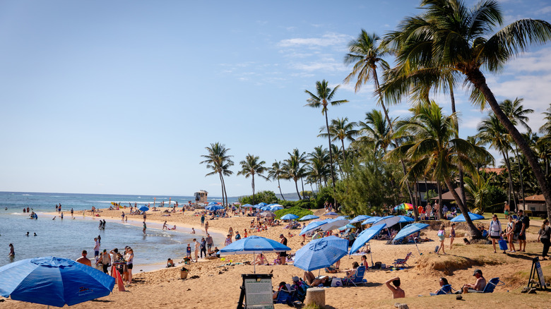A beach with golden sand, palm trees, umbrellas and many people on Kauai, Hawaii.
