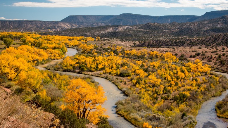 A river winds through autumn brushland with mountains in the distance in New Mexico