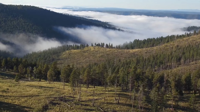 Mist among the wooded hills of the Vermejo preserve
