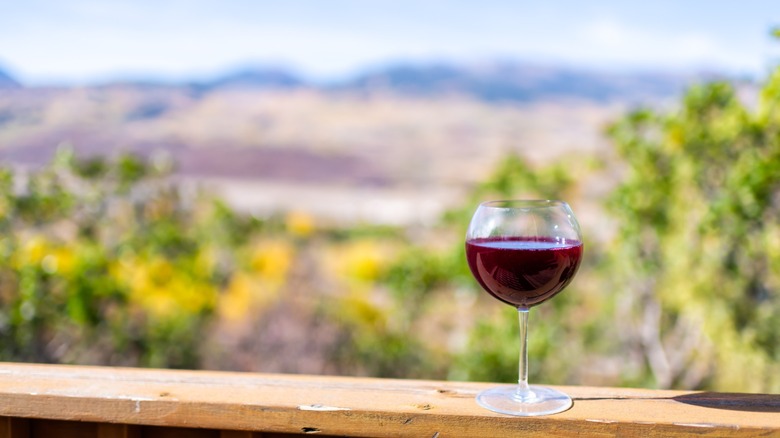 Close-up shot of a glass of red wine with a blurred mountainscape in the background