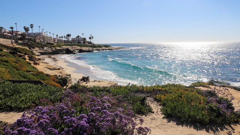Aerial view of La Jolla, California