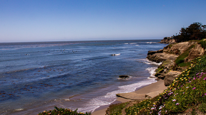 Surfers wait for waves in the ocean at Pleasure Point, California.