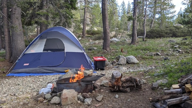 Tent camping at Gold Lake Campground