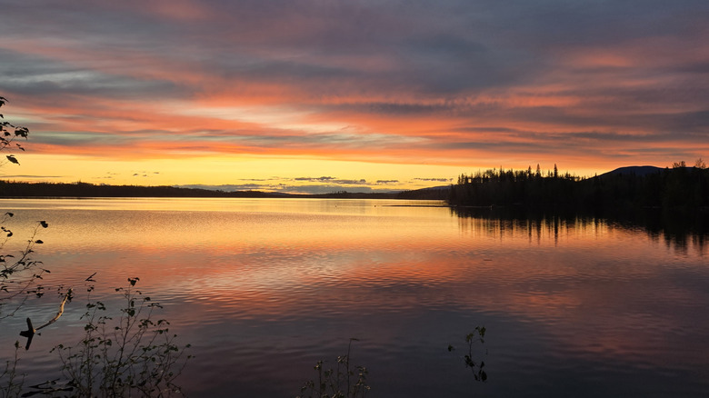 Williston lake at sunset with pink skies reflected in the water