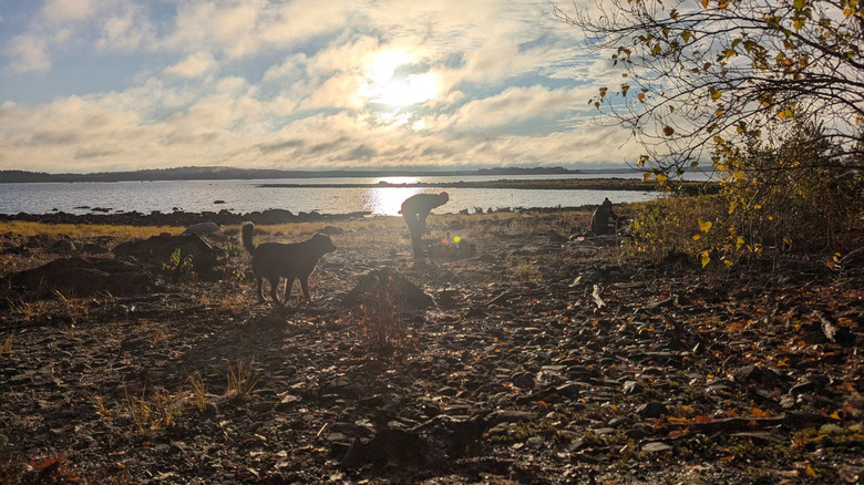 Two people and their dog exploring the Lake Rossignol Wilderness Area along the edge of Lake Rossignol in Queens County, Nova Scotia, Canada