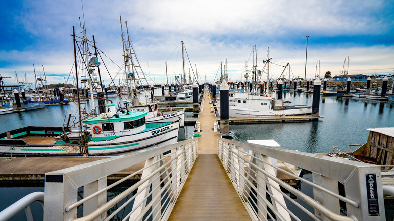 A sunny day in Crescent City Harbor, facing out toward the docks