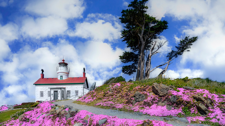 Battery Point Lighthouse in Crescent City, pictured in spring when flower are in bloom