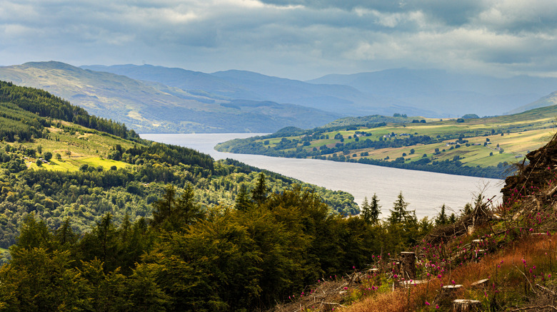 The waters of Loch Tay bend between forest-covered mountains