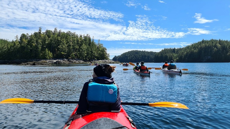 Several sea kayakers paddling amongst wooded islands.