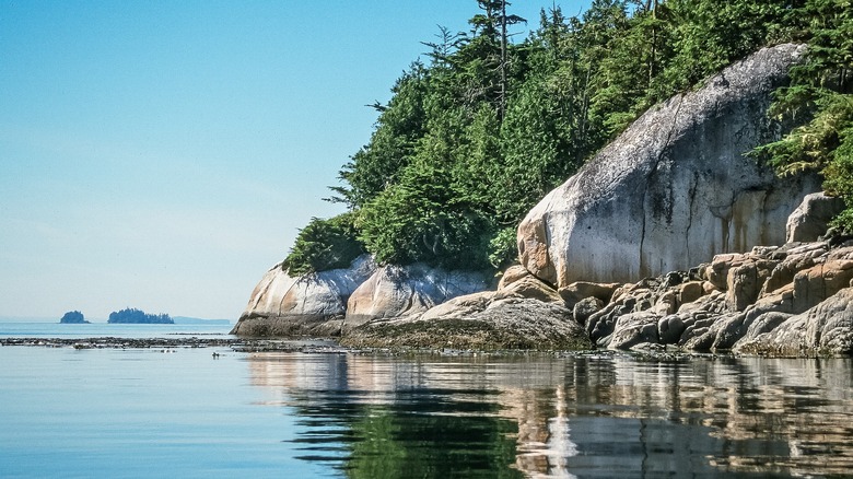 A shoreline of large boulders and trees meets the sea in the Broughton Archipelago