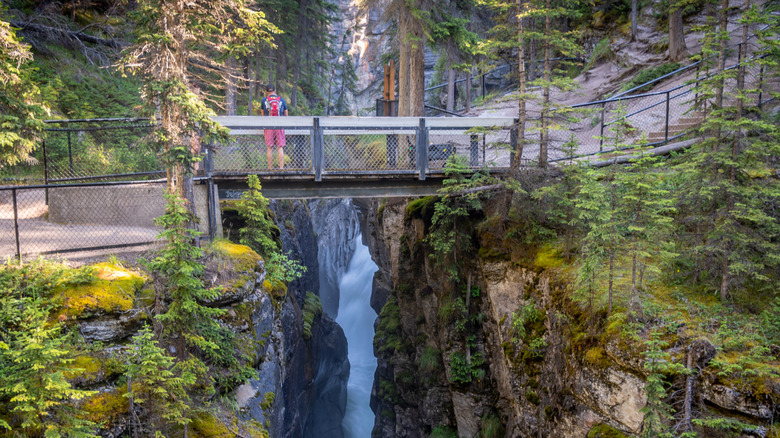 Man on suspension bridge in Maligne Canyon.