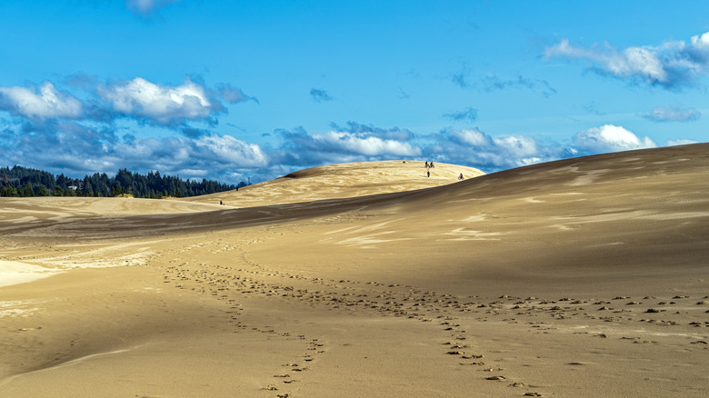 Hikers and mountain bikers traverse John Dellenback Dunes Trail