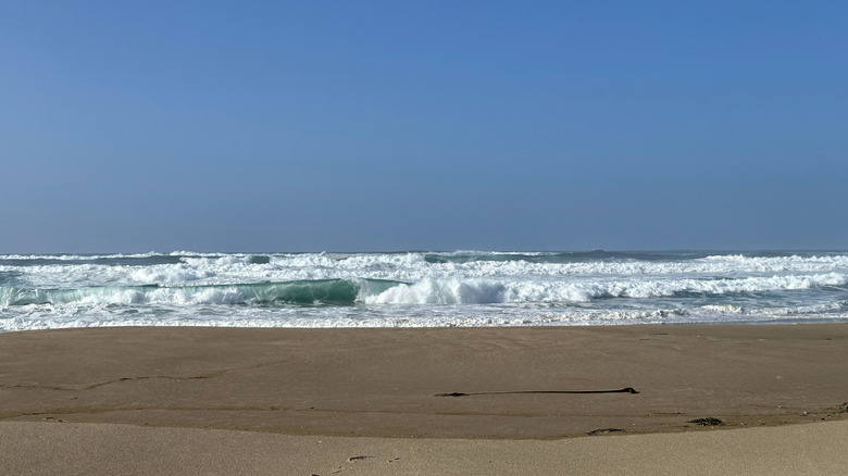 Ocean waves crash into beach at end of John Dellenback Dunes trail