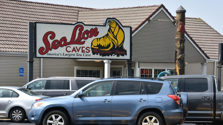 Cars parked in the lot in front of Sea Lion Caves