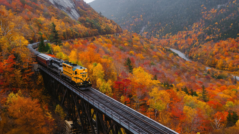 Train among fall foliage in New Hampshire
