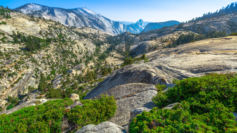 Panorama of Olmsted Point, off Tioga Pass Road in Yosemite National Park, California, United States. Clouds Rest is on the left, Half Dome is on the right and Tenaya Canyon between them.