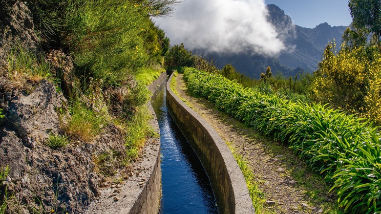 Levadas in Madeira