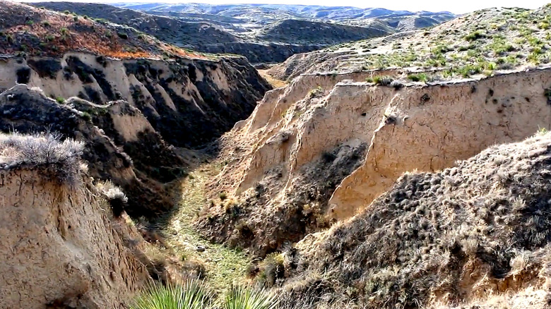A ravine at the Arikaree Breaks
