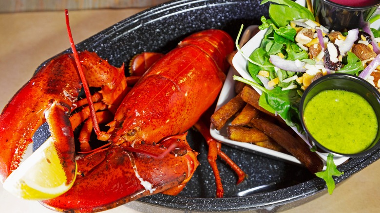 A lobster dinner served in Barrington, Nova Scotia