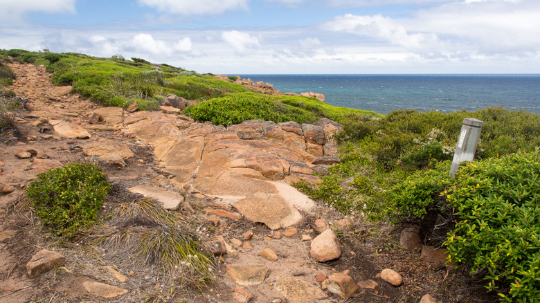 View of the ocean as seen from the Cape to Cape Track, a coastal hiking trail in Western Australia