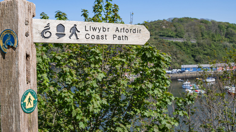 Wooden sign for the Coast Path hiking way written in English and Welsh overlooking a Welsh bay.