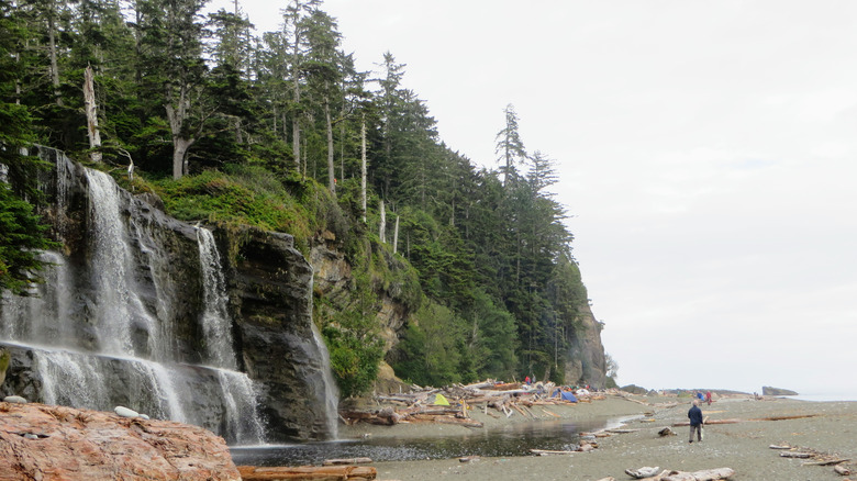 Evening along the beaches of the West Coast Trail at the Tsusiat Falls campsite.