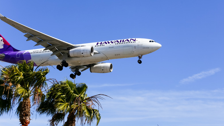 A Hawaiian Airlines plane departs from Honolulu near palm trees.