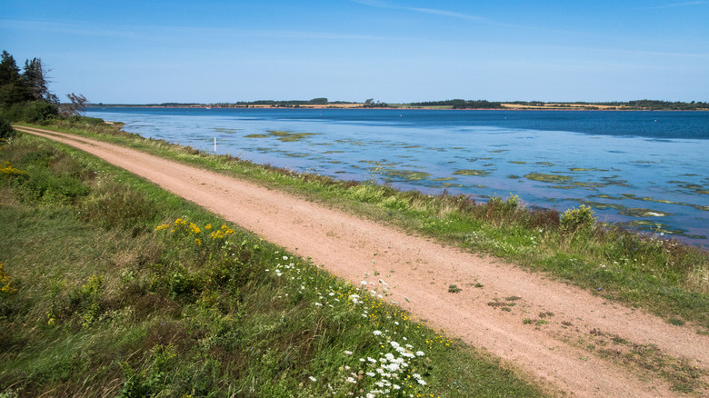 Path along water and coast