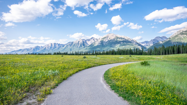 Path through fields with mountains behind