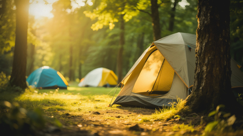 Camping tents in the summer sun