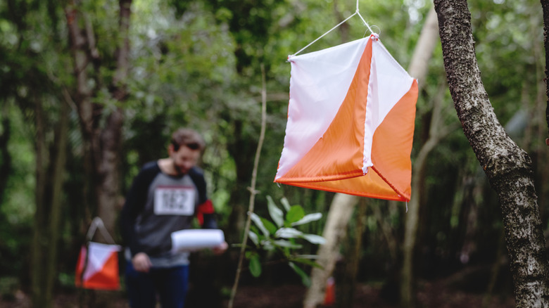Orienteering checkpoint