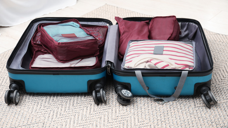 Packing cubes in a suitcase