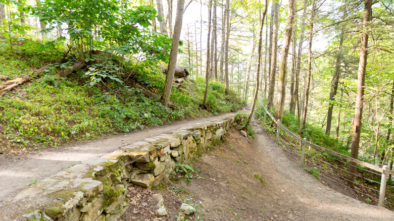Kent Falls walking trail