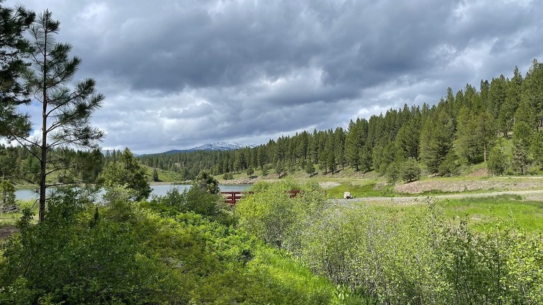 A former mill pond surrounded by pines at Bates State Park, Oregon.