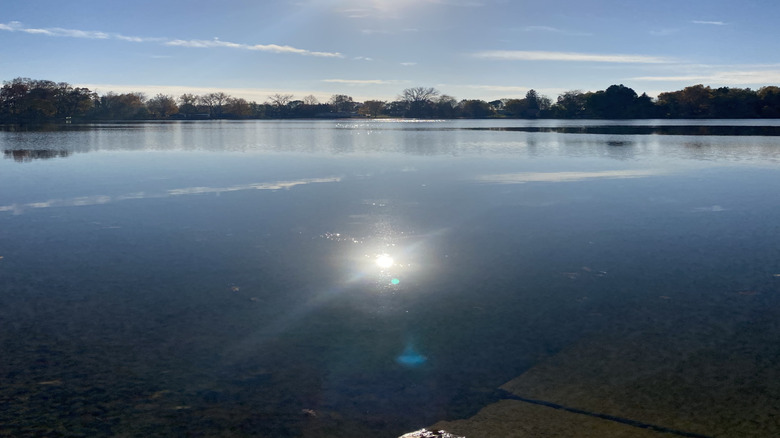 Sun shining over Palmer Lake in Colon, Michigan