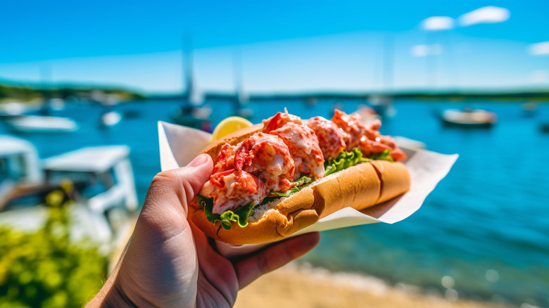 person holding lobster roll with ocean background