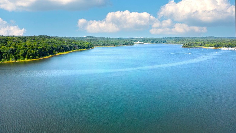An aerial view of Patoka Lake
