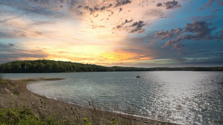 The shore at Patoka Lake