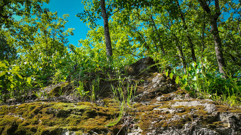 Grand Gulf State Park, Missouri