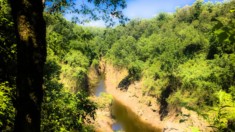 The central gorge at Grand Gulf Park, Missouri