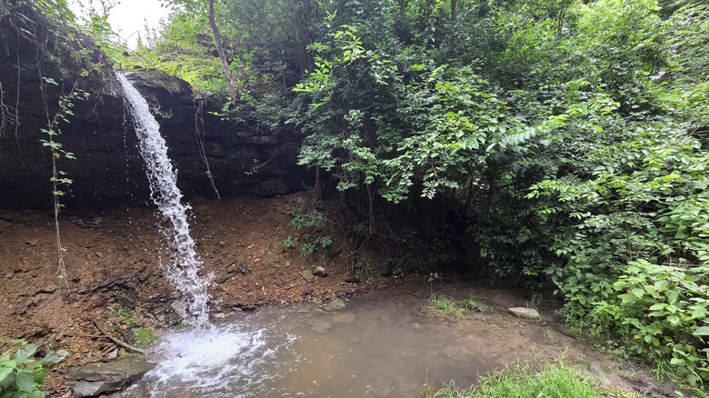 A waterfall at Woodman Hollow State Preserve, Iowa
