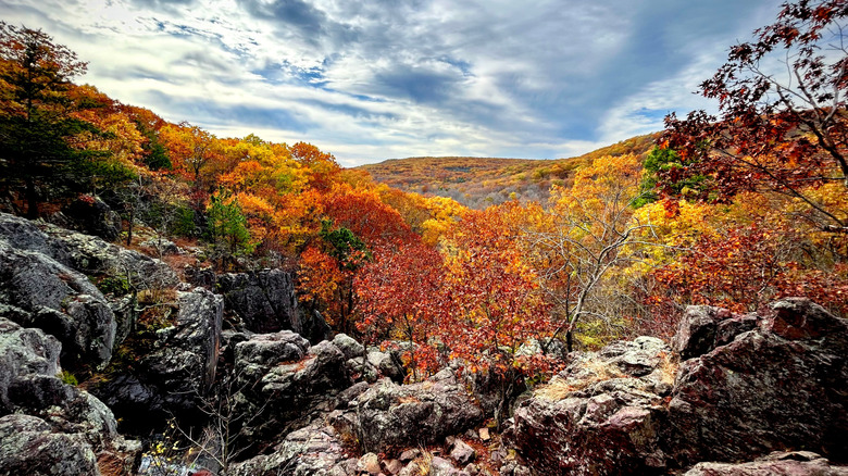 Taum Sauk Mountain State Park with fall foliage near Farmington