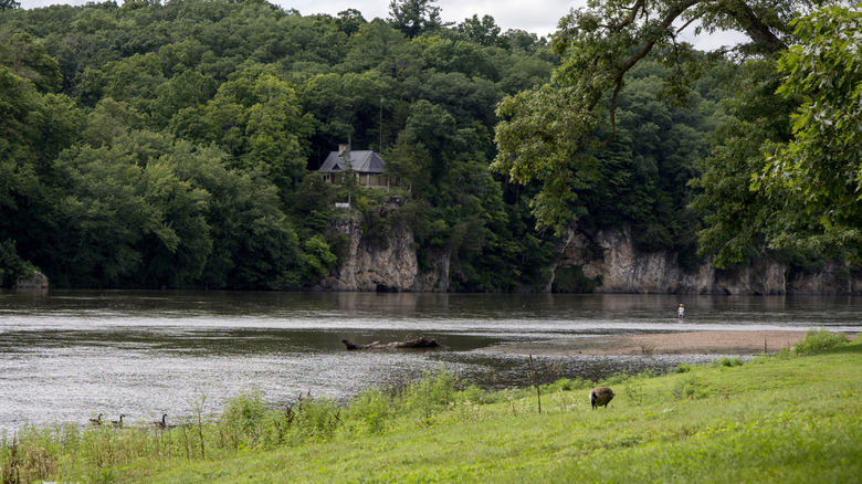 Cedar River shoreline lined with limestone bluffs at Palisades-Kepler State Park in Iowa