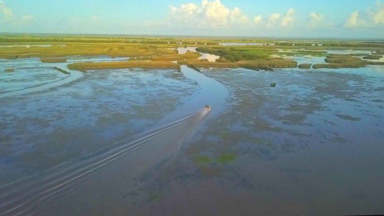 Aerial view of a boat in Pass-a-Loutre Wildlife Management Area