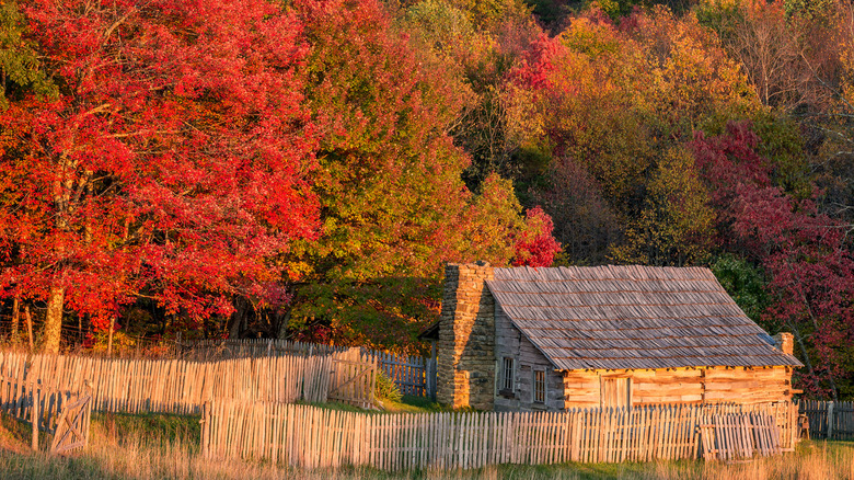 Old log cabin surrounded by vibrant red trees in Cumberland Gap, TN